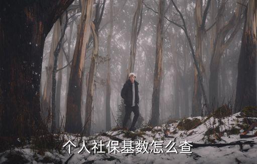 個人社保基數怎么查