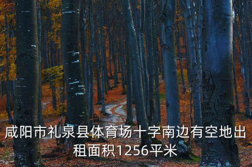 咸陽市禮泉縣體育場十字南邊有空地出租面積1256平米