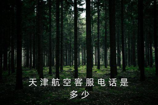 天 津 航 空 客 服 電 話 是 多 少