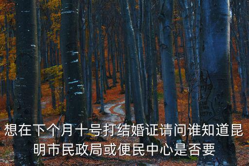 想在下個(gè)月十號打結(jié)婚證請問誰知道昆明市民政局或便民中心是否要