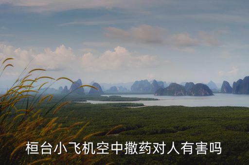 桓臺小飛機空中撒藥對人有害嗎