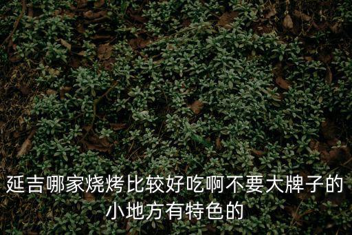 延吉哪家燒烤比較好吃啊不要大牌子的小地方有特色的