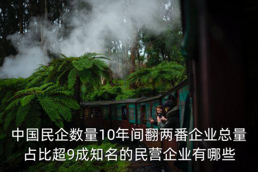 中國民企數量10年間翻兩番企業總量占比超9成知名的民營企業有哪些