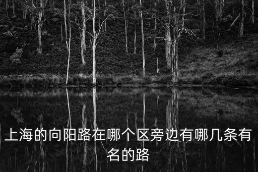 上海的向陽路在哪個區旁邊有哪幾條有名的路