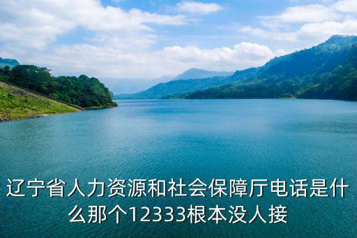 遼寧省人力資源和社會保障廳電話是什么那個12333根本沒人接
