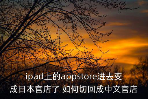 ipad上的appstore進去變成日本官店了 如何切回成中文官店