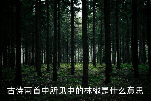 古詩兩首中所見中的林樾是什么意思