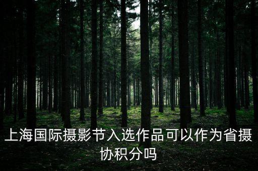 上海攝影，上海攝影基地介紹