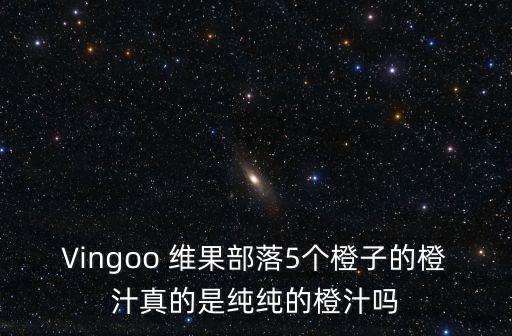 Vingoo 維果部落5個橙子的橙汁真的是純純的橙汁嗎