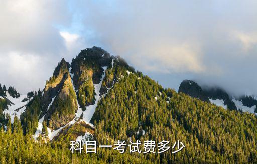 科目一考試費多少
