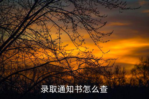 錄取通知書怎么查