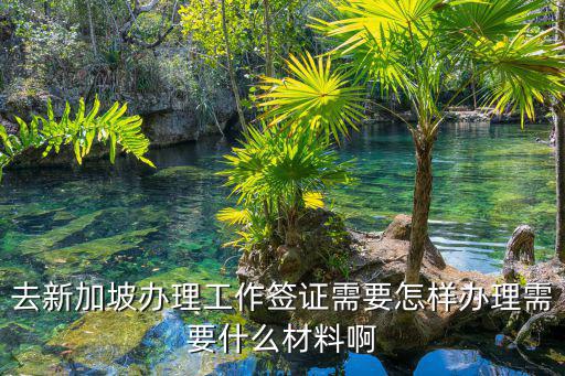 去新加坡辦理工作簽證需要怎樣辦理需要什么材料啊