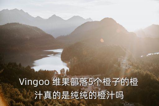 維果部落，Vingoo 維果部落5個橙子的橙汁真的是純純的橙汁嗎