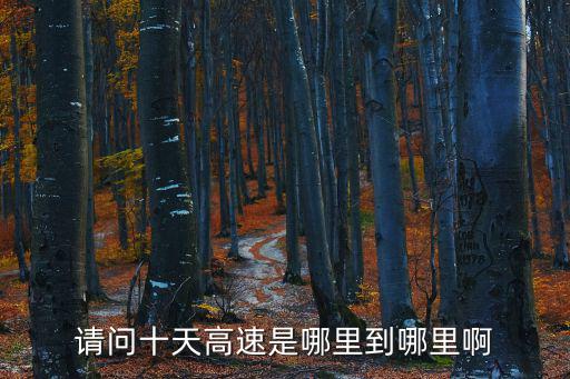 請問十天高速是哪里到哪里啊