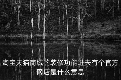 淘寶天貓商城的裝修功能進去有個官方網店是什么意思