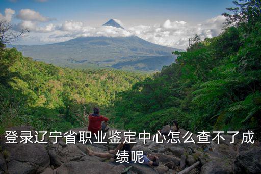 遼寧省職業技能鑒定中心，登錄遼寧省職業鑒定中心怎么查不了成績呢