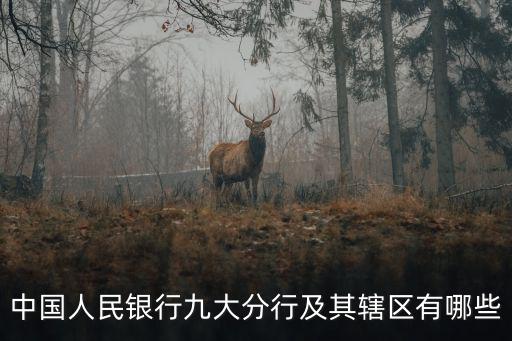 中國人民銀行九大分行及其轄區(qū)有哪些