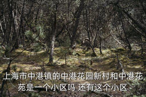 上海市中港鎮(zhèn)的中港花園新村和中港花苑是一個小區(qū)嗎 還有這個小區(qū)