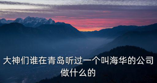 海華船公司，上海海華船務有限公司怎么樣