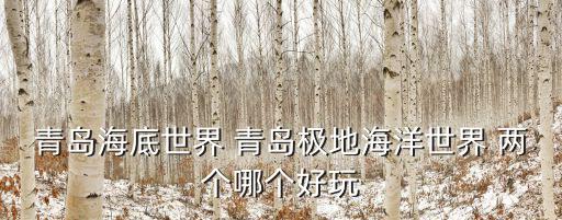 青島海底世界 青島極地海洋世界 兩個哪個好玩