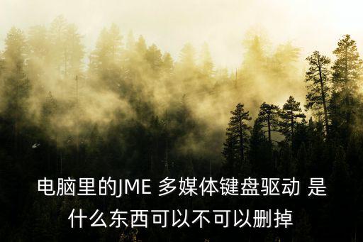 電腦里的JME 多媒體鍵盤驅動 是什么東西可以不可以刪掉
