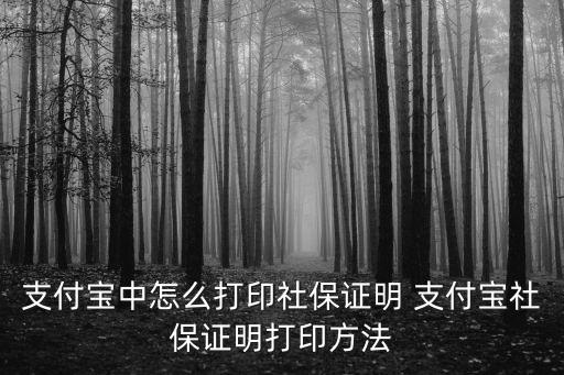 支付寶中怎么打印社保證明 支付寶社保證明打印方法