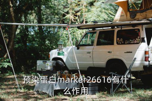 26616，火車k26616車廂97號(hào)是雙排還是3排座還是雙排座