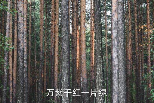 萬紫千紅一片綠