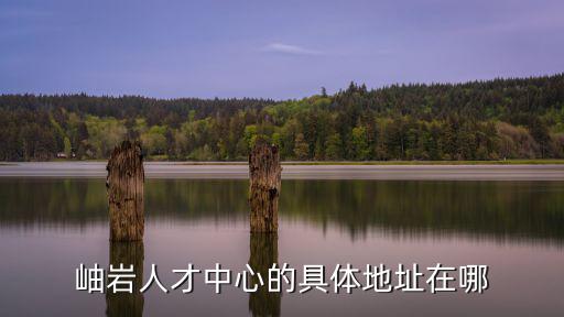岫巖人才中心的具體地址在哪