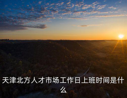 天津北方人才市場，天津北方人才市場工作日上班時間是什么