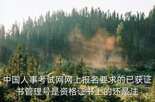中國人事考試網網上報名要求的已獲證書管理號是資格證書上的還是注