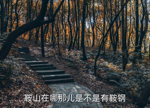 鞍山在哪那兒是不是有鞍鋼