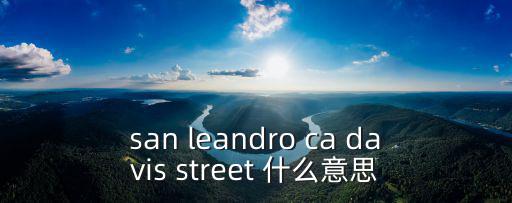 萊安德羅，san leandro ca davis street 什么意思