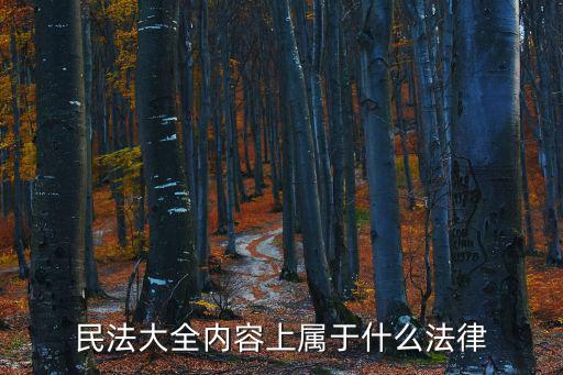 民法包括哪些法律，民法大全內容上屬于什么法律