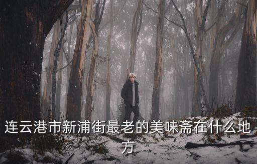 連云港市新浦街最老的美味齋在什么地方