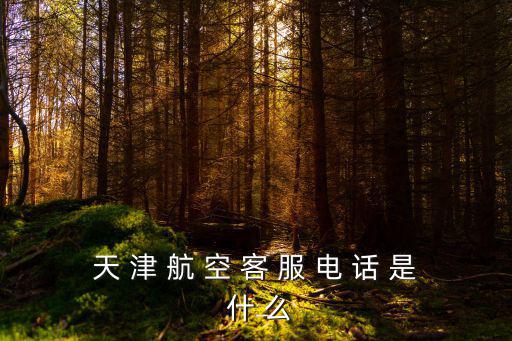天 津 航 空 客 服 電 話 是 什 么
