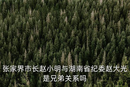 張家界市長趙小明與湖南省紀委趙大光是兄弟關系嗎