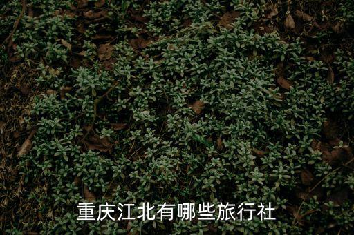重慶旅行團，重慶江北有哪些旅行社
