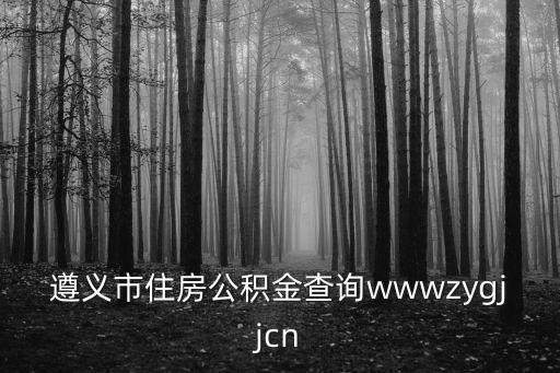 遵義市住房公積金查詢wwwzygjjcn