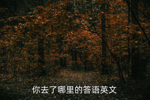 你去了哪里的答語英文