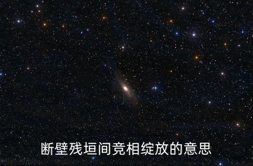 斷壁殘垣間競相綻放的意思