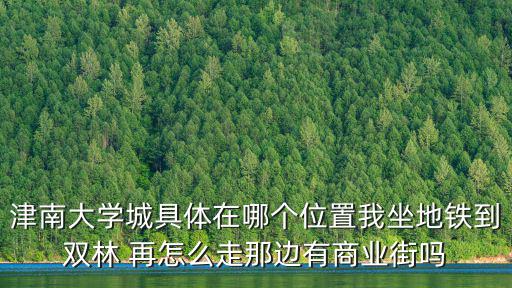 津南大學(xué)城具體在哪個(gè)位置我坐地鐵到雙林 再怎么走那邊有商業(yè)街嗎