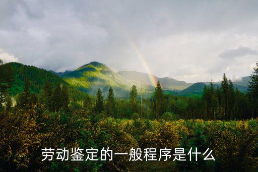 勞動鑒定的一般程序是什么