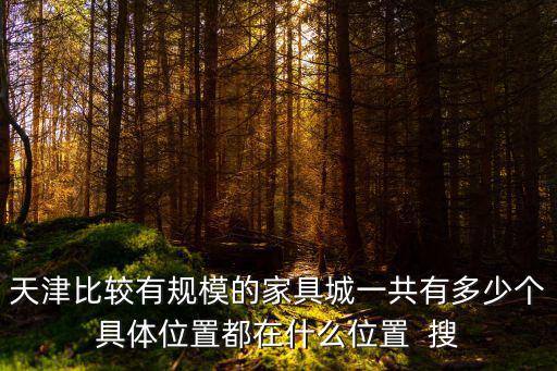 天津比較有規模的家具城一共有多少個具體位置都在什么位置  搜