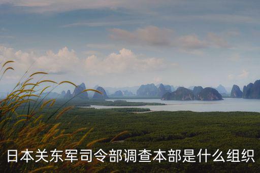 日本關(guān)東軍司令部調(diào)查本部是什么組織