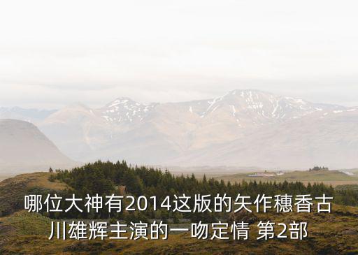 哪位大神有2014這版的矢作穗香古川雄輝主演的一吻定情 第2部