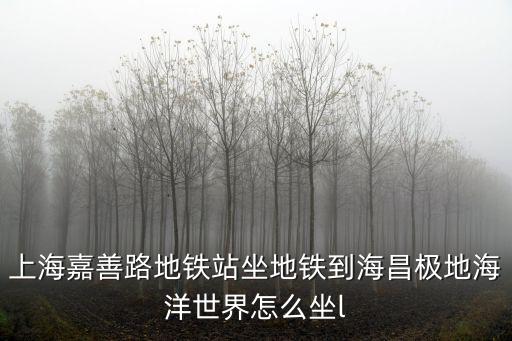 上海嘉善路地鐵站坐地鐵到海昌極地海洋世界怎么坐l