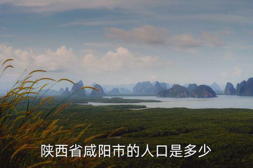 陜西省咸陽市的人口是多少