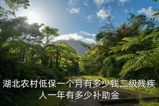 湖北農(nóng)村低保一個月有多少錢二級殘疾人一年有多少補(bǔ)助金