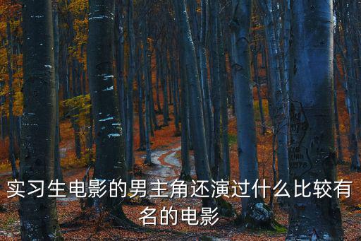 電影實習生，實習生電影的男主角還演過什么比較有名的電影